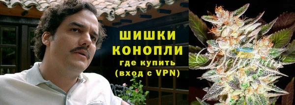 прущие крисы Арсеньев