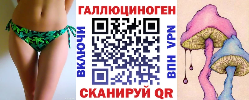 наркошоп  Полярные Зори  Псилоцибиновые грибы Psilocybine cubensis 